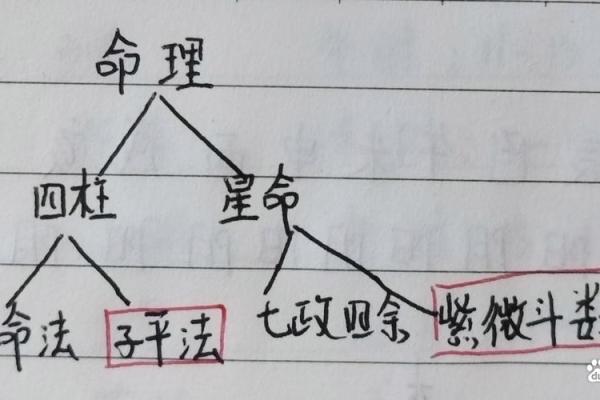 破解霸气八字，掌控人生走向