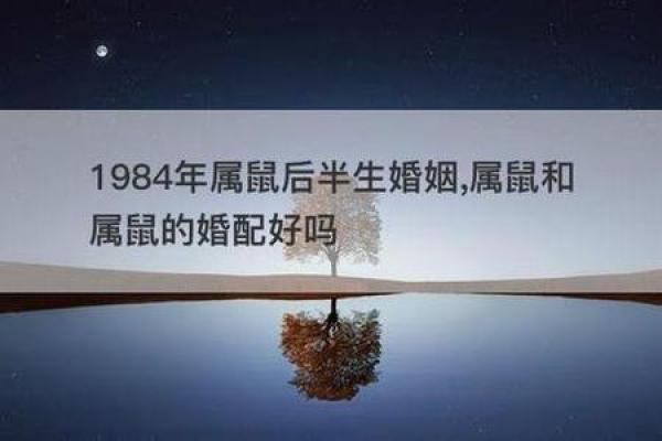 男鼠与女兔的性格与婚姻匹配度分析 男鼠与女兔的性格与婚姻匹配度分析