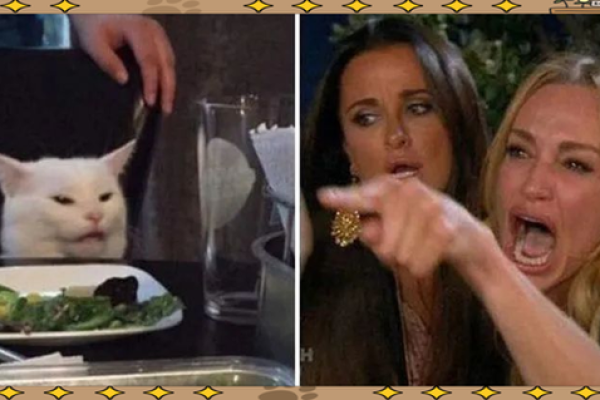 狗与人相配的秘密:情感连接背后的科学 狗与人相配的秘密:情感连接背后的科学