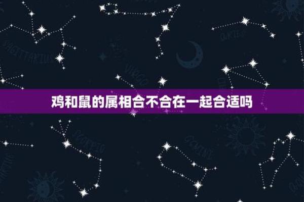 属鼠与属鸡相配吗 从性格到感情的全面解析 属鼠与属鸡相配吗 从性格到感情的全面解析