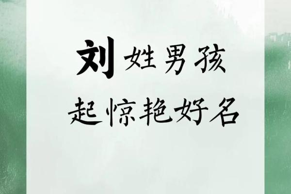 Liu姓宝宝名字推荐与寓意解析 Liu姓宝宝名字推荐与寓意解析