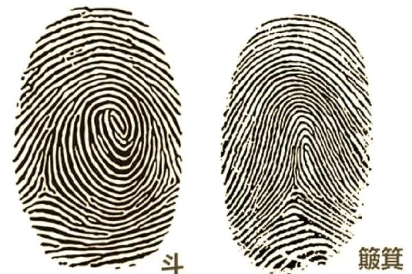 簸箕招财风水布局技巧与禁忌解析 簸箕招财风水布局技巧与禁忌解析