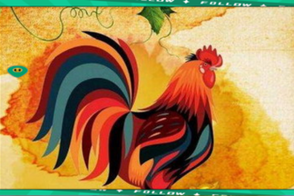 属鼠与属鸡是否合适 婚姻与事业中的默契与挑战 属鼠与属鸡是否合适 婚姻与事业中的默契与挑战