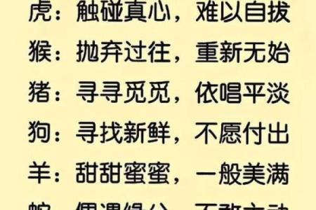属羊人和属狗人的缘分：性格差异带来的互补与挑战