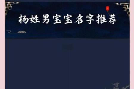 为杨姓鸡宝宝命名的传统与现代结合
