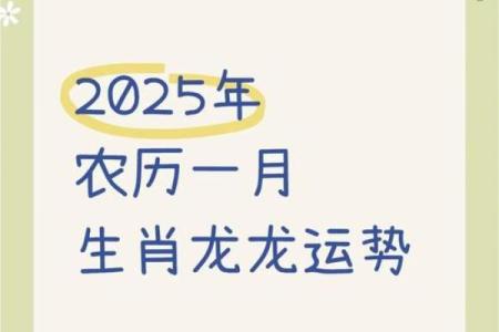 龙人运程全分析：每月运势波动与应对策略