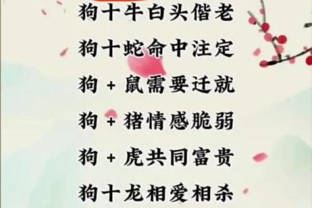 属虎男和属狗女的婚姻匹配度分析