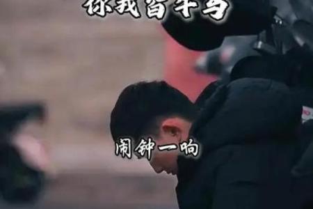 马和牛能否成为理想搭档