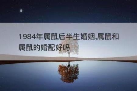 男鼠与女兔的性格与婚姻匹配度分析