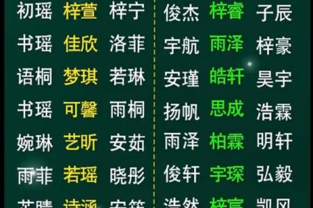 北京宝宝起名公司，开启您孩子的命名之旅