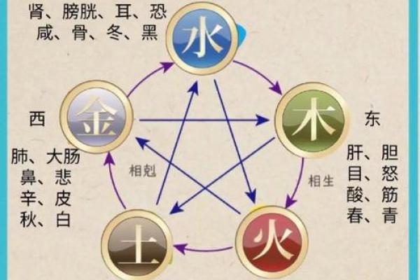 莐字的五行解析：深度了解其背后的元素与影响