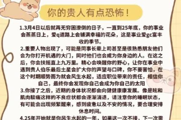 属狗人运势展望：各大领域的表现与提升建议