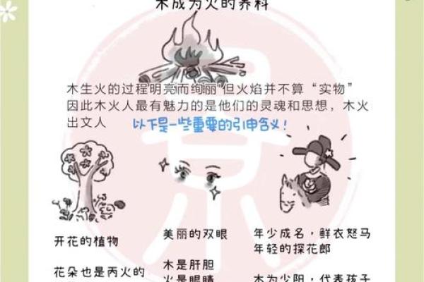 城志五行：探索五行学说如何影响现代生活