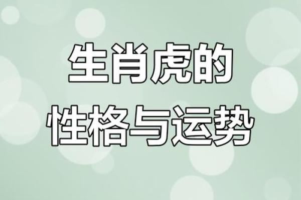属虎人在本命年如何提升自身竞争力