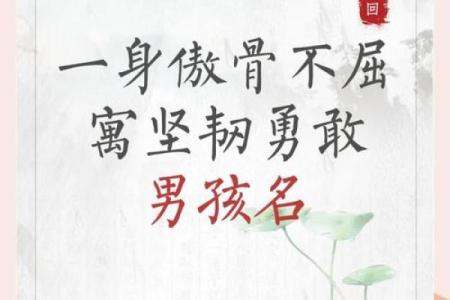 宝宝名字：让他在人生中走得更远的第一步