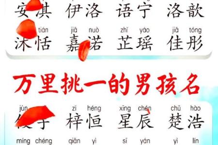 创意与传统结合：龙女宝宝名字精选