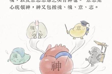 城志五行：探索五行学说如何影响现代生活