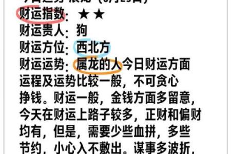 龙年运势全解析