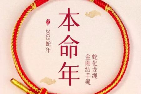 蛇男本命年的财富提升与投资机会