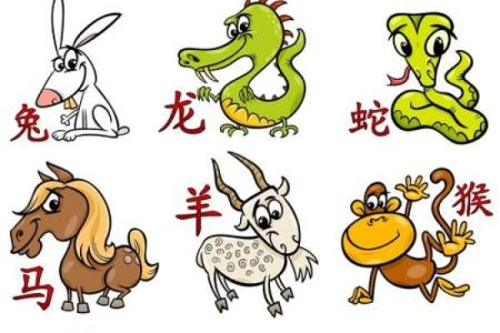 属羊和属兔的配对分析 能否携手共度一生