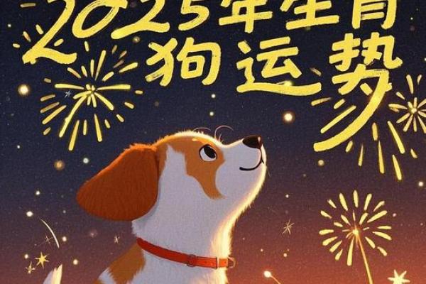 十年运程预测：生肖对未来十年的影响分析