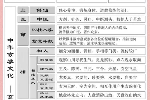 查五行命理，揭开你的命运秘密