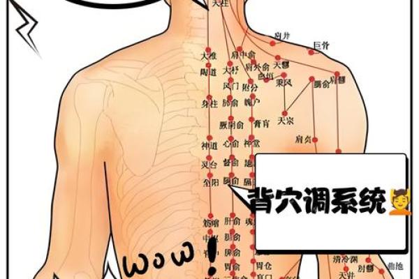 背部五行图：揭示身体健康的隐秘密码