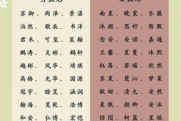 宝宝名字的选择与家庭文化的传承