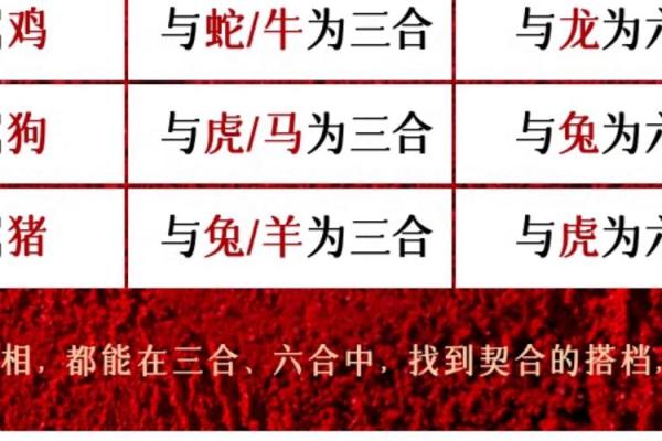 本命年虎男与其他生肖的关系解析