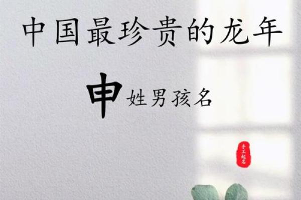 男宝宝起名推荐大全 选择一个既独特又有意义的名字 男宝宝起名推荐大全 选择一个既独特又有意义的名字