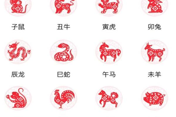 十二生肖顺序的深层含义与文化解读