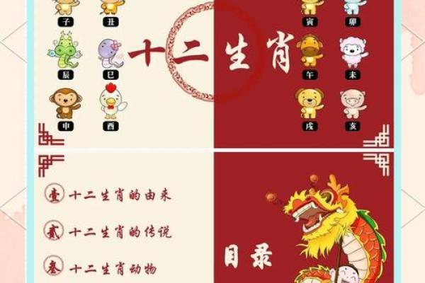 十二生肖顺序的深层含义与文化解读