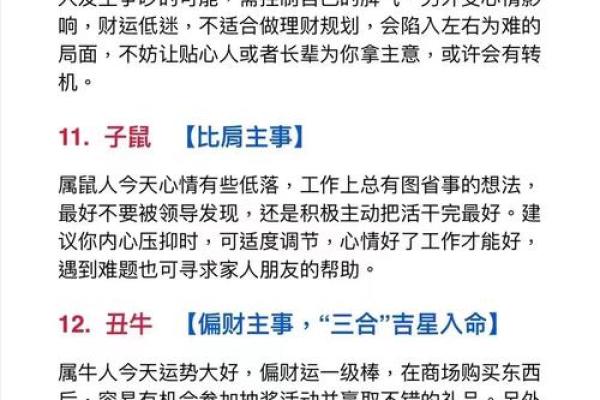 八月运程如何影响不同生肖的生活与决策