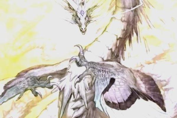 蛇和龙是否能完美匹配