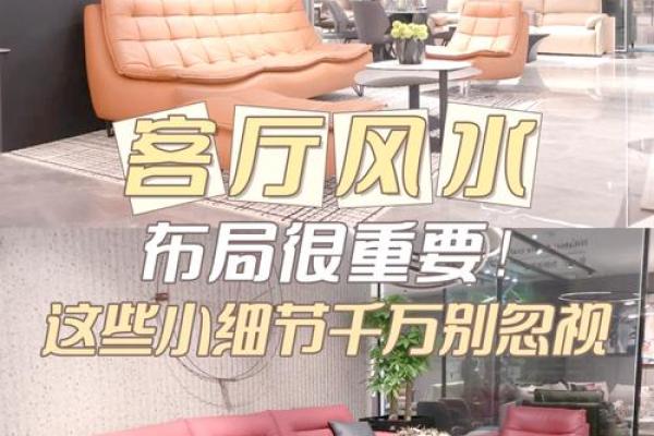 大安区家居风水朝向布局指南
