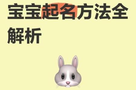 宝宝起名字的完整流程解析及注意事项