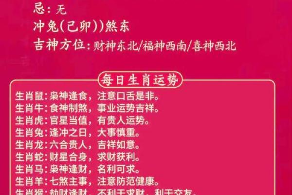 十二生肖运势预测与建议