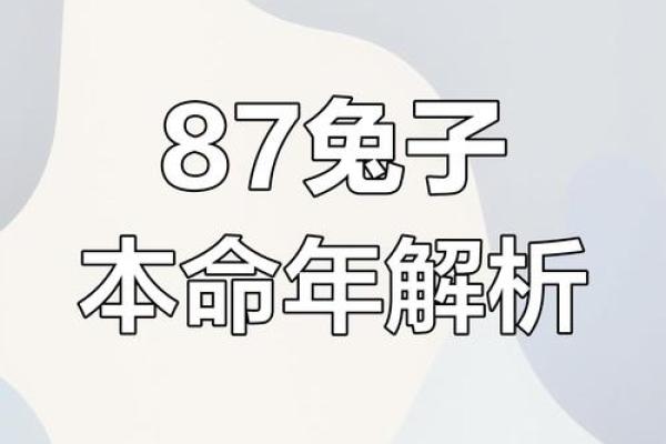 兔男本命年如何有效提升个人能力