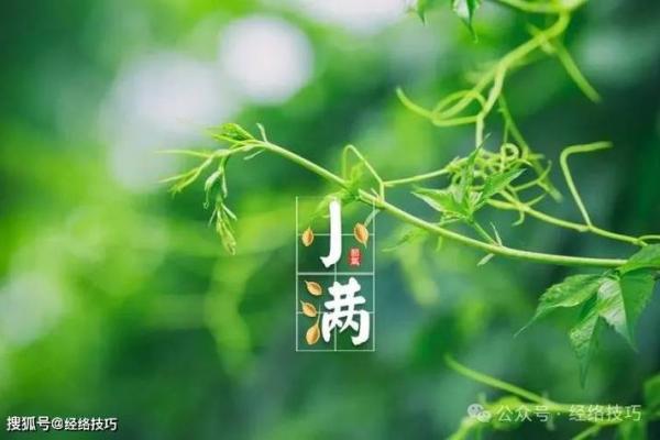 农历十一月十八，带来好运的关键时刻