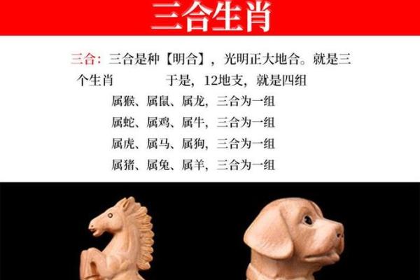 从命理角度看男鼠女狗是否相配 从命理角度看男鼠女狗是否相配