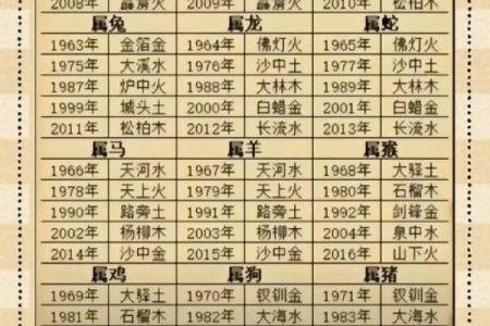 出生的命理解析与人生轨迹