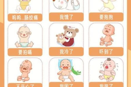 宝宝名字大全，在线选名轻松又省心