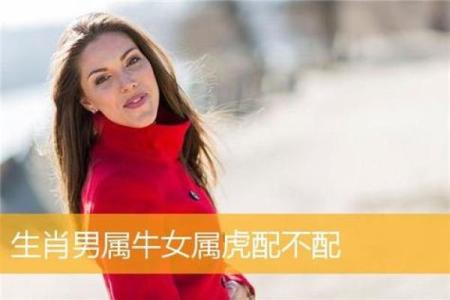 属牛男和属虎女的感情配对分析