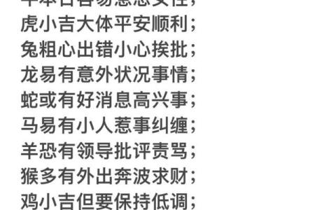 十二生肖运势预测与建议