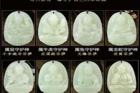 兔男本命年如何有效提升个人能力