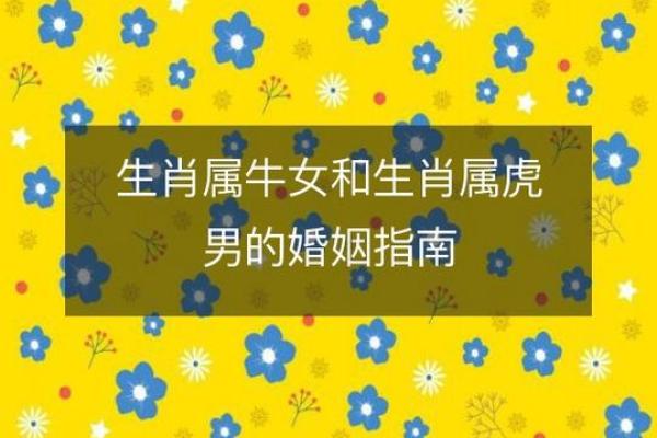 虎男龙女婚姻是否长久?从性格到命运的深度解析 虎男龙女婚姻是否长久?从性格到命运的深度解析