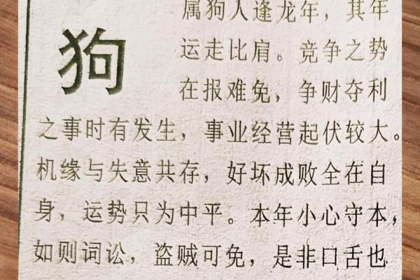 属狗人全年运势详解及注意事项