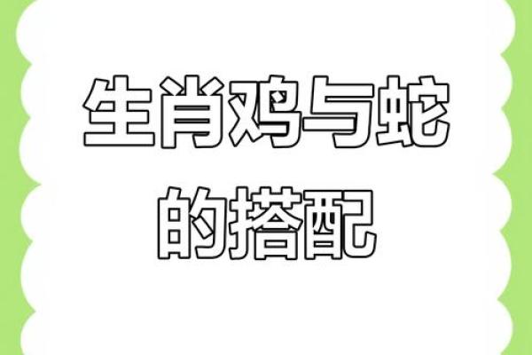 蛇女蛇与女兔兔男男缘的分深厚星吗座配？对星分析座配对解析