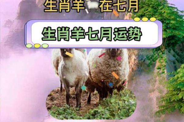 属羊人每月运势解析：财运、事业与感情全方位分析
