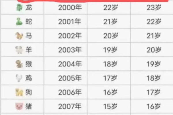 兔男本命年如何突破人生瓶颈